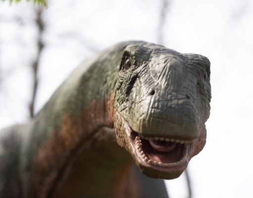 Dinosaur Safari to Make a (pre)Historic Return to The Bronx Zoo