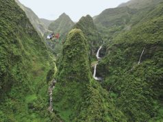 STAY IN A CLEAR GLASS BUBBLE AT A REAL-LIFE “JURASSIC PARK” ON LA REUNION ISLAND
