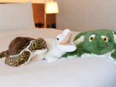 National Endangered Species Day kicks off B Humane program with B Hotels & Resorts