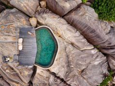 African Wellness Safari – 10 day Seychelles + Kenya Luxury Safari
