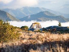 Thinking about camping but don’t know where to start?