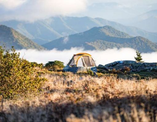 Thinking about camping but don’t know where to start?