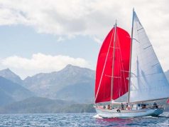 Get Your Recommended 120 Minutes of “Nature Time” in Canada’s Rainforests