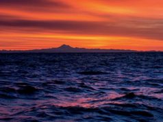 3 Ways to Honour World Oceans Day with Outer Shores Expeditions