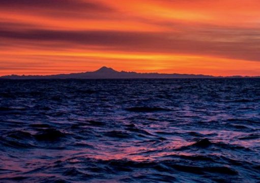 3 Ways to Honour World Oceans Day with Outer Shores Expeditions