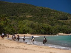 JetBlue Heads To The Guadeloupe Islands Starting February 1, 2020 From New York, JFK
