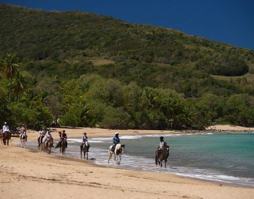 JetBlue Heads To The Guadeloupe Islands Starting February 1, 2020 From New York, JFK