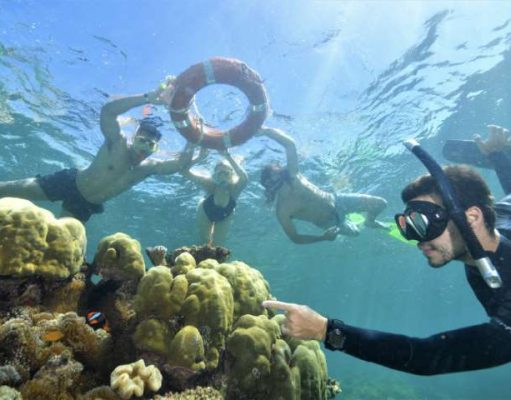 Great Barrier Reef’s stories revealed