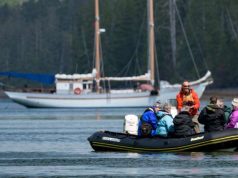 Classic Wooden Schooner Passing Cloud  Celebrates 45 Years on the Canadian Coast