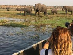 Conservation and Community: The Importance of Sustainable Safari Trips