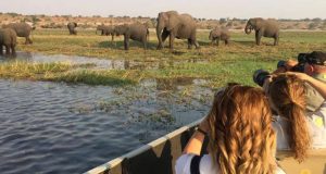 Hidden Gems of African Safaris – Beyond the Big Five