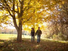 Take a bite out of fall with these Massachusetts Inspired Treats!