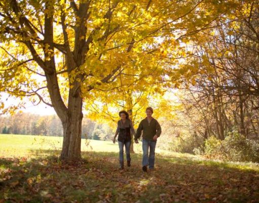 Take a bite out of fall with these Massachusetts Inspired Treats!