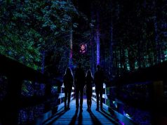 Whistler’s Award Winning Vallea Lumina Announces a Winter Journey