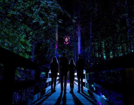 Whistler’s Award Winning Vallea Lumina Announces a Winter Journey