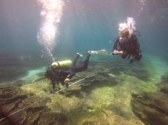 Nature fighting back: Maldives reefs showing resilience
