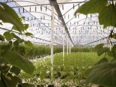 Karisma Hotels & Resorts Eliminates Single Use Plastics