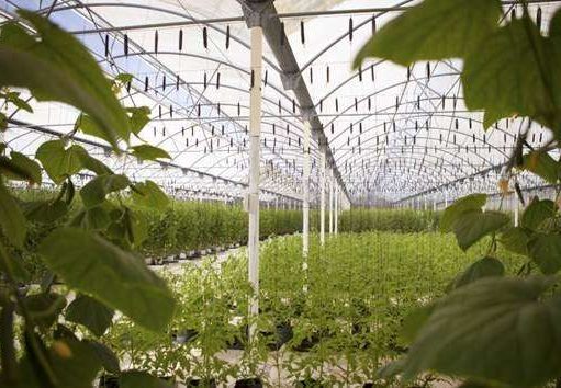 Karisma Hotels & Resorts Eliminates Single Use Plastics