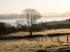 Four Luxury Country House Hotels for a Winter Escape in Devon