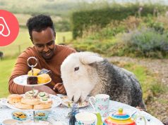 Introducing Airbnb Animal Experiences