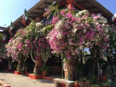 VALLARTA BOTANICAL GARDEN IN PUERTO VALLARTA