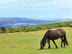 Galway Named Among ‘Top Places to Visit in the World’ for 2020