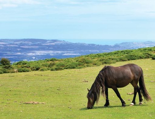 Galway Named Among ‘Top Places to Visit in the World’ for 2020