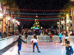 Consider a Vacation Home for the Holidays in Kissimmee