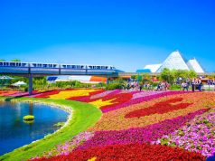 How to Plan the Perfect Family Holiday to Orlando, Florida