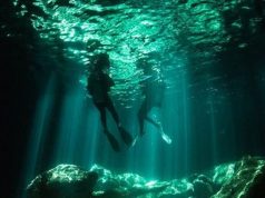 Diveplanit Travel’s Top 5 South Pacific Dive Holidays Under $2000