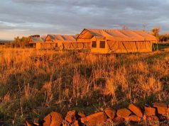 INTRODUCING OUR EXCITING NEW SERENGETI CAMP GRAND MARA CAMP