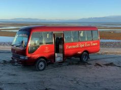 ECO TRAVEL: GETTING “TRAPPED” ON FAREWELL SPIT