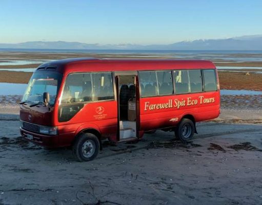ECO TRAVEL: GETTING “TRAPPED” ON FAREWELL SPIT