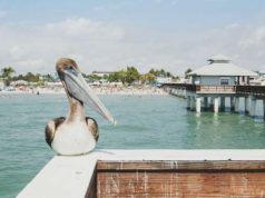 FORT MYERS & SANIBEL ISLAND