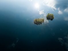 Four Seasons of Lake Saimaa