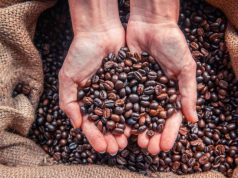 Coffee Crazy? Learn to Make the PERFECT Cup