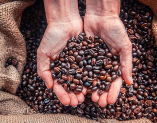 Coffee Crazy? Learn to Make the PERFECT Cup