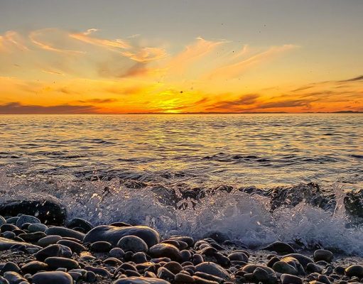 While we sit inside because of Covid-19, lets visit WHIDBEY AND CAMANO ISLANDS with their new virtual vacation.