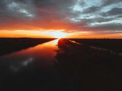 Celebrating Earth Day during COVID-19 around the world