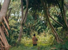 Now is the time to share some Aloha