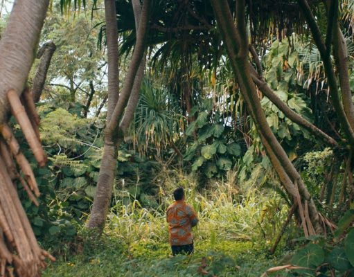 Now is the time to share some Aloha