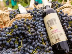 Azerbaijani wine: from ancient traditions to modern vibrancy Goygol Winery - Azerbaijan