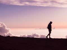 Ways Walking Works Wonders on your Health walking works wonders on your health