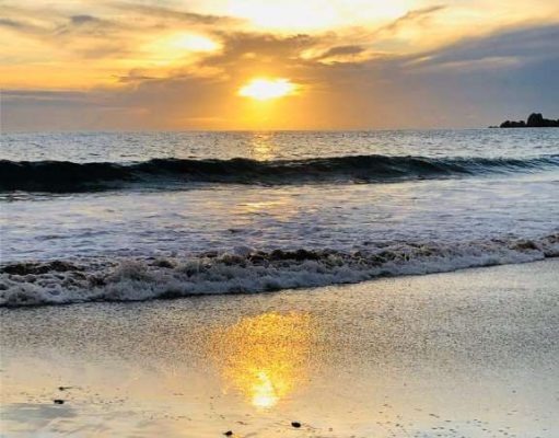 Sea Turtle Hatchlings Find Their Way To The Ocean in Ixtapa-Zihuatanejo