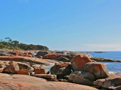 Tasmania – One of the Best Destination Options Tasmania