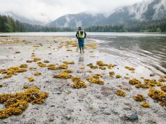 Small-Ship Operator UnCruise Adventures Confirms 2020 Summer Sailings Small-Ship Operator UnCruise