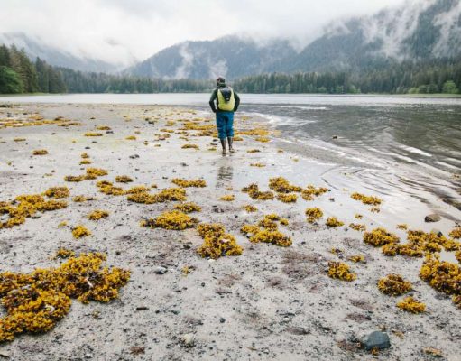 Small-Ship Operator UnCruise Adventures Confirms 2020 Summer Sailings Small-Ship Operator UnCruise