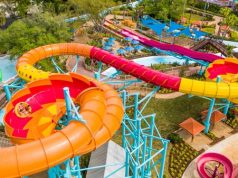 Busch Gardens and Adventure Island in Tampa Will Reopen June 11 Busch Gardens and Adventure Island in Tampa Will Reopen