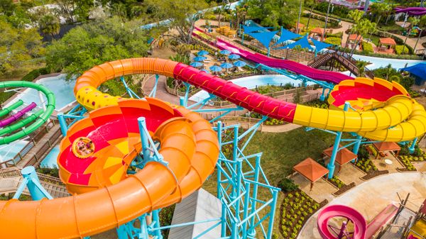 Busch Gardens and Adventure Island in Tampa Will Reopen