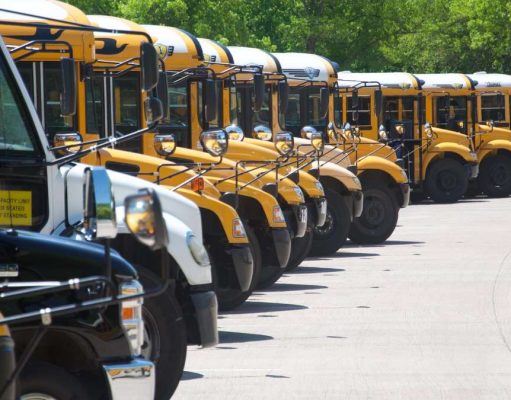 Learning Outside: Benefits of Field Trips